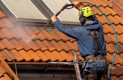 Démoussage et hydrofuge de toiture à Viens
